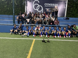 MicrosoftTeams-image (17)