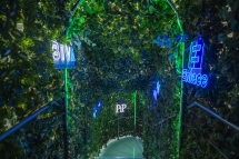 Fin de año CENCOR 2023-66