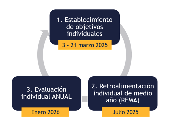 Etapas de evaluación