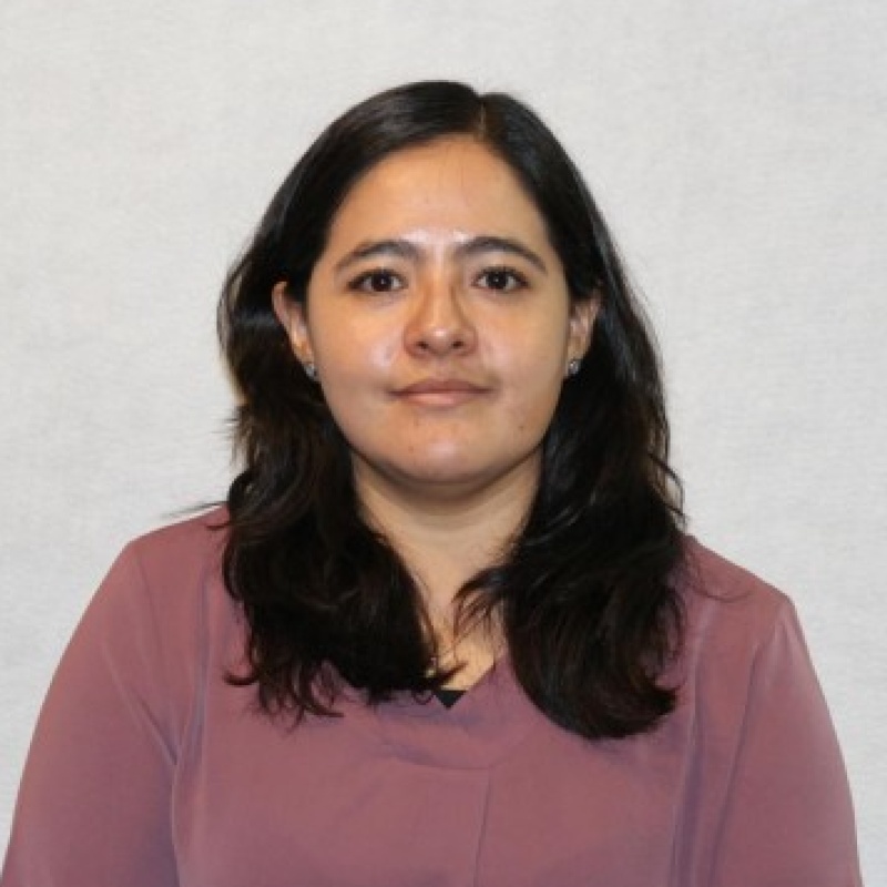 Foto del perfil de ILIANA CONSUELO DOMINGUEZ REYNA