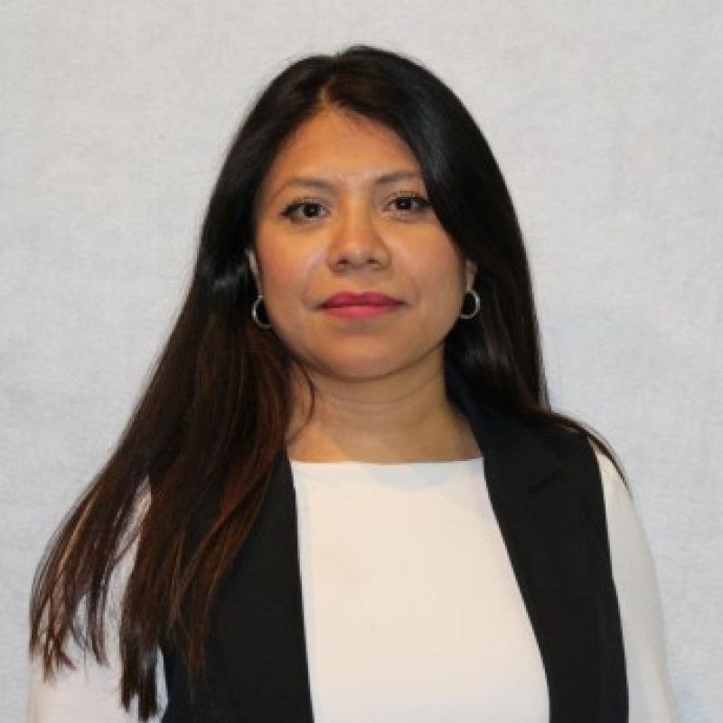 Foto del perfil de DIANA ELIZABETH MIRANDA TORRES